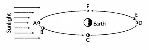 Diagram... At which location would the moon most likely be in a FULL MOON phase (all of the lit sid