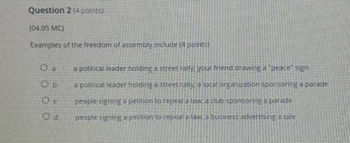 Question 214 points) (04.05 MO Examples of the freedom of assembly include (4 points) a political l