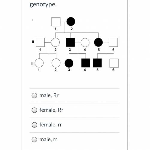 Person #5 in generation II is a _________ with _________ genotype.