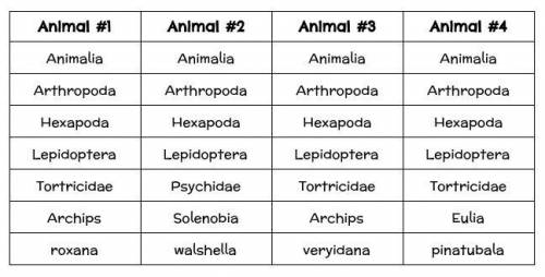 HELP WORTH POINTS I NEED IT NOW

The scientific name of Animal #1 is Tortricidae archipsArchips ro