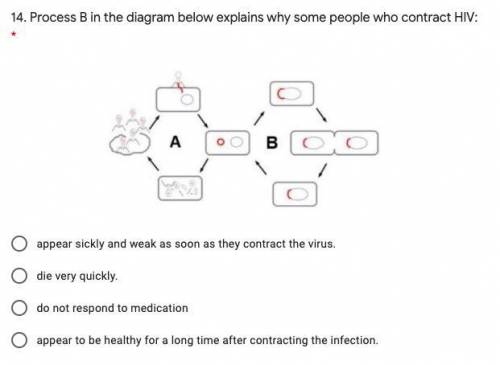 Process B in the diagram below explains why some people who contract HIV:

Pls explain and I will