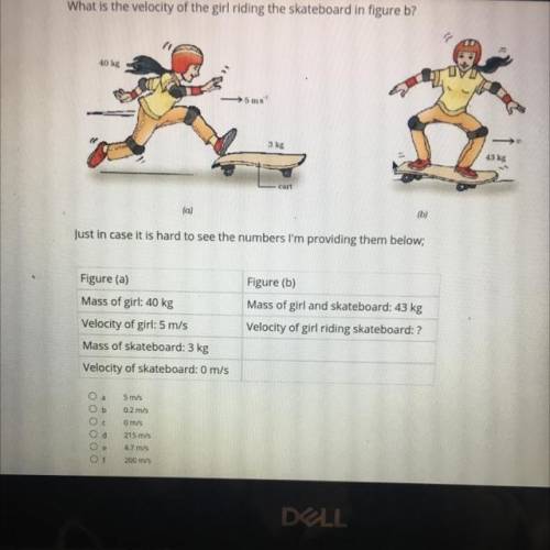 What is the velocity of the girl on figure b? Please help me