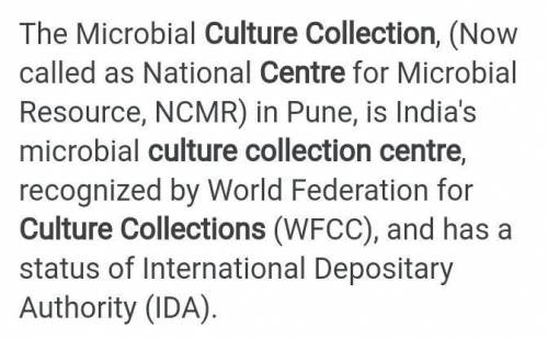 What is the importance of stock cultures and what is the culture collection centre?​