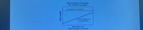 This graph shows the path length based on the number of speciation events in a evolution path.

Sp