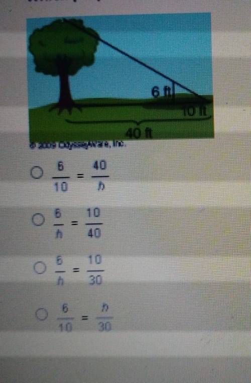 Which proportion could be used to solve for the height of the tree? ​