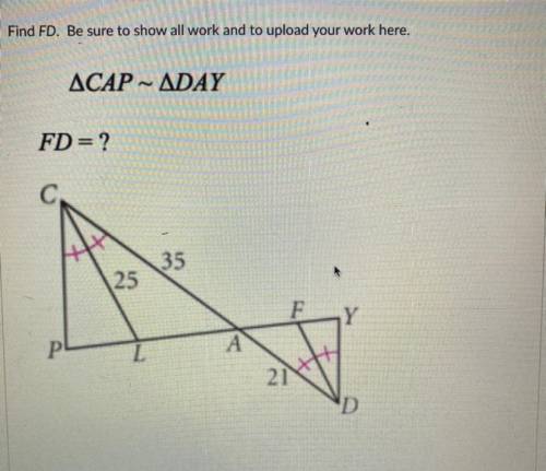 PLEASE HELPPP ME WITH THIS QUESTION AND SHOW WORK