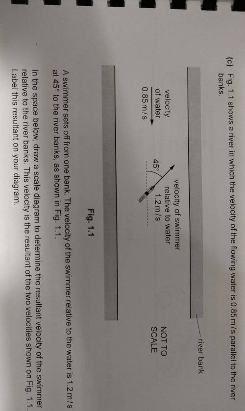 Can anyone help me with this question. I do not understand this question​