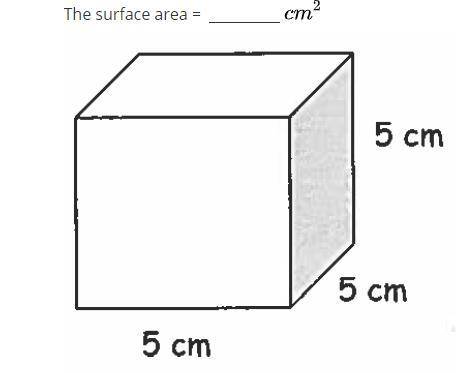 Total surface area??