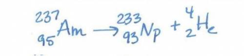 How do i write out this sentence into a formula

neptunium-233 is formed when americium-237 undergo