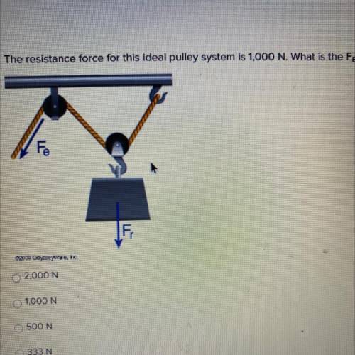 The resistance force for this ideal pulley system is 1,000 N. What is the F?

2,000N
1000N
500N
33