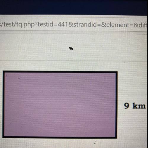 If the area of the rectangle is 90 km2, then what is the value of the missing side?