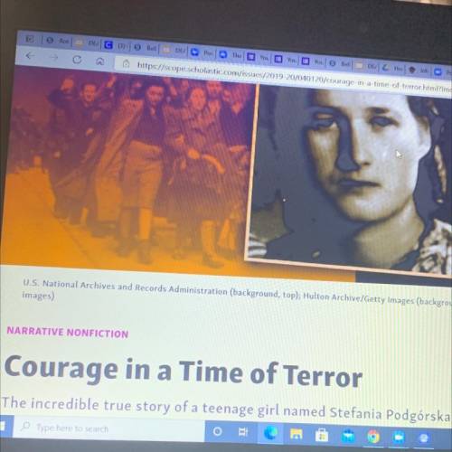 Can someone do a summary on the story courage in a Time of Terror?