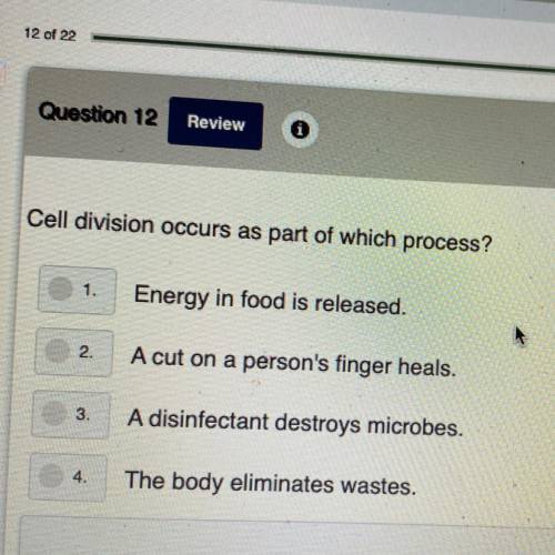 Cell division occurs as part of which process￼