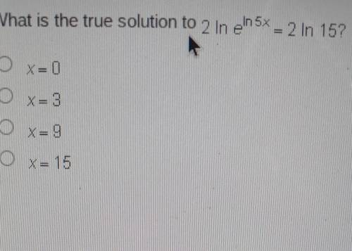 PLEASE HELP MATHS! What is the true solution to​