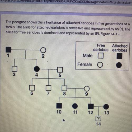 What is the genotype of individual #1 
I NEED HELP PLEASE