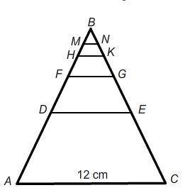 △ABC is an isosceles triangle. Each horizontal line is the bisector of two sides of a triangle. How