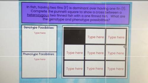 In fish, having two fins (F) is dominant over having pne fin (t).

Complete the punnett square to