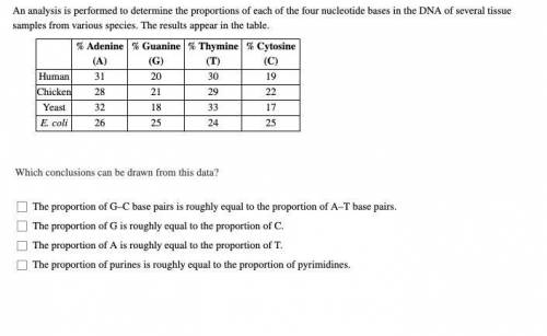 An analysis is performed to determine the proportions of each of the four nucleotide bases in the D