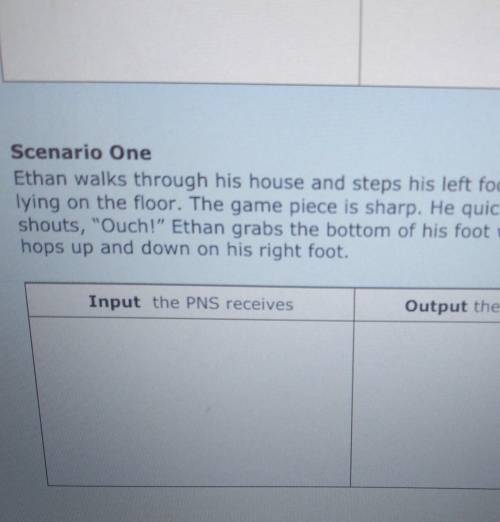 Scenario One Ethan walks through his house and steps his left foot on a game piece lying on the flo