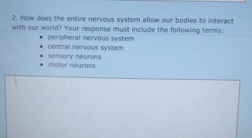 2. How does the entire nervous system allow our bodies to interact with our world? Your response mu