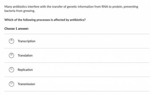 Many antibiotics interfere with the transfer of genetic information from RNA to protein, preventing