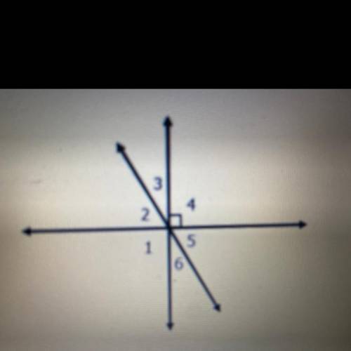 Look at the image.

Which statement is true?
A. Angle 2 and angle 4 are vertical angles.
B. Angle