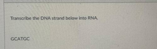 Transcribe the DNA strand below into RNA​