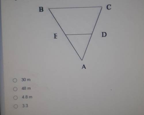 PLEASE HELP

Triangle ABC is similar to regular AED. side AB is 10m, BC is 12m, and AE is 4m.