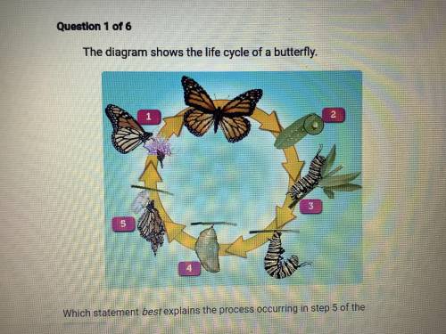 The diagram shows the life cycle of a butterfly.

 Question: Which statement best explains the pro