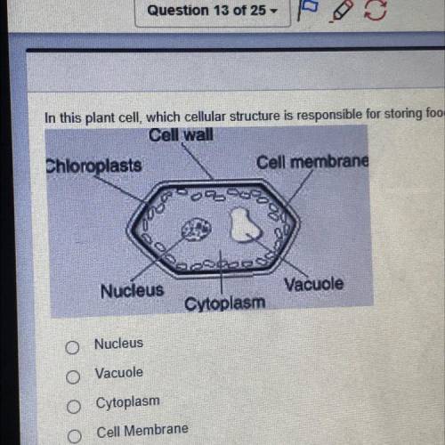 In this plant cell, which cellular structure is responsible for storing food, water, and wastes?