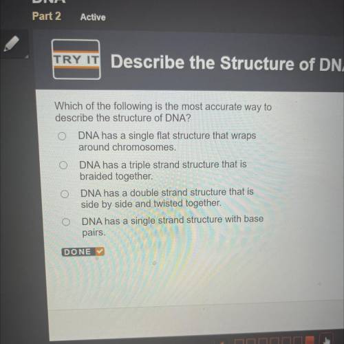 Which of the following is the most accurate way to

describe the structure of DNA?
DNA has a singl