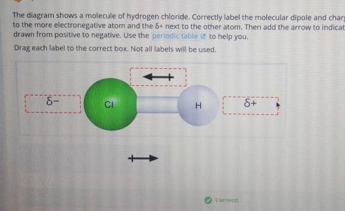 The diagram shows a molecule of hydrogen chloride. Correctly label the molecular dipole and charges