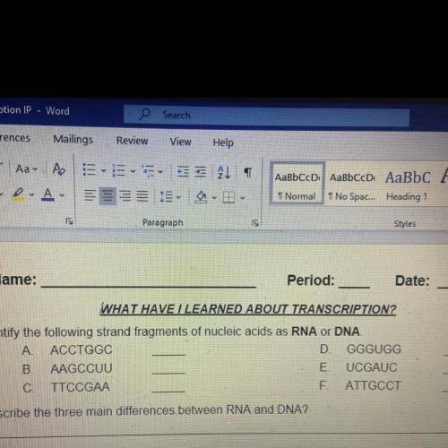 Rna and DNA bio pls help