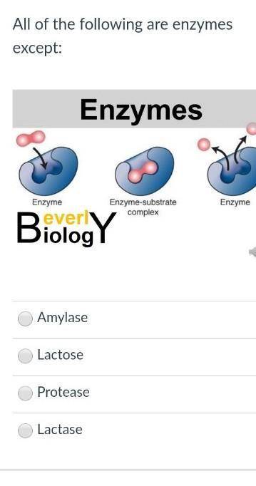 All of the following are enzymes except​
