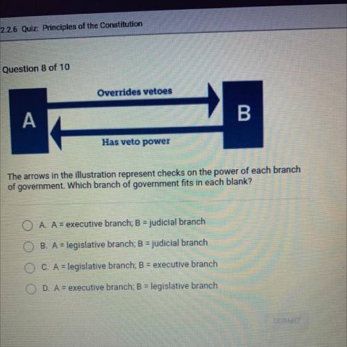 NEED URGENTLY

Which branch of government fits in each blank?
A. A = executive branch; B = judicia