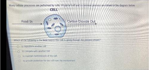 Many cellular processes are performed by cells. A typical cell and a common process are shown in th
