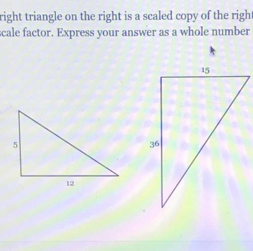 Pls help identify the scale factor
