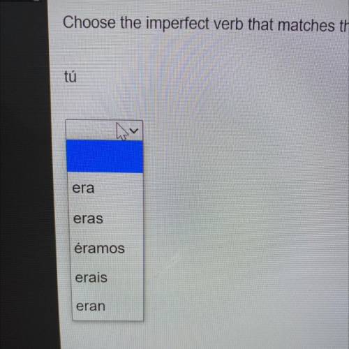 Choose the imperfect verb that matches the given pronoun.
tú