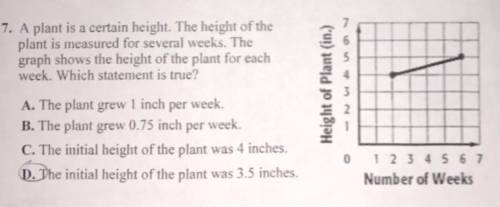 A plant is a certain height. The height of the plant is measured for several weeks.the graph shows