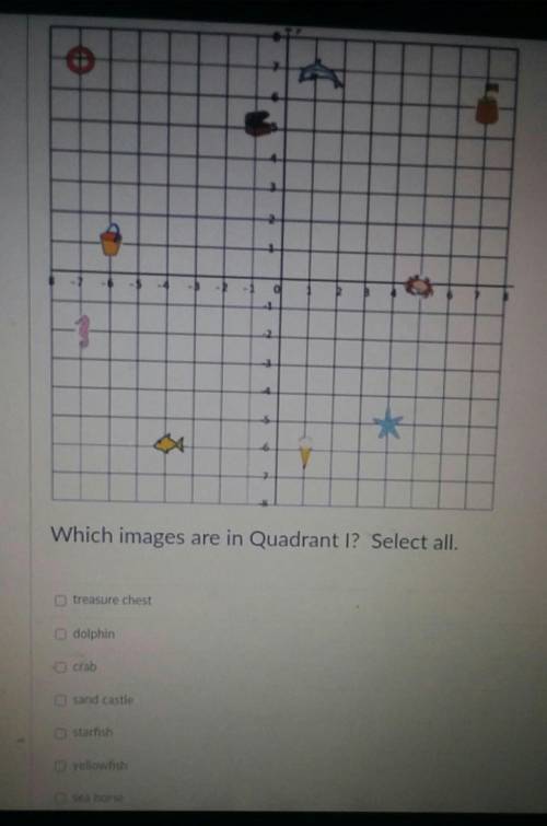 What images are in quadrant 1 select allthe last one is pail​