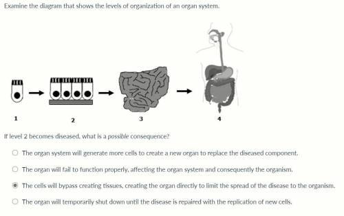 Examine the diagram that shows the levels of organization of an organ system.

If level 2 becomes