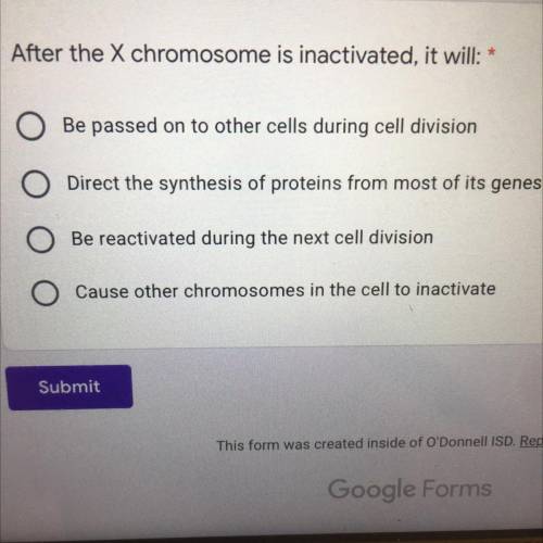 After the X chromosome is inactivated, it will