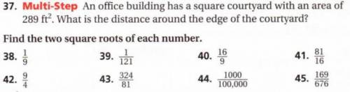 SQUARE ROOTS, EASY POINTS, PLEASE SOLVE ASAP