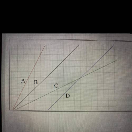 Select the line with a slope that is greater than 1
A
B
C
D