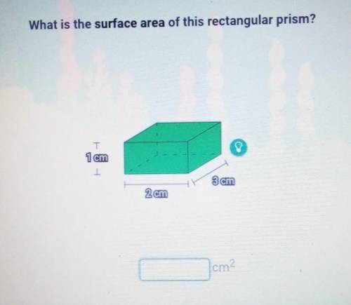 Calculate the surface area of this rectangular prism​