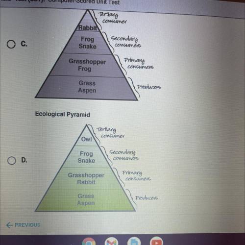 Which of the following is an energy pyramid for the food web below?

It won’t let me add more pict