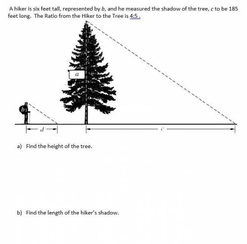 A. The Tree's Height: ft
b. Length of Shadow ft 
answer for a and b: