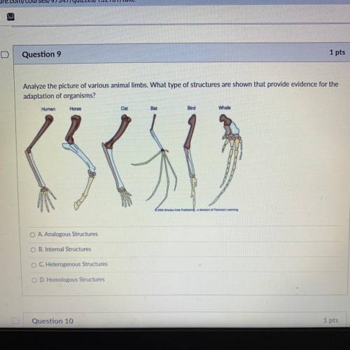 PLS ANSWER QUICK!!!

Analyze the picture of various animal limbs. What type of structures are sho