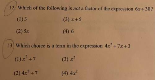 Can someone please give me the answers to these 2 questions! And can you also include an explanatio