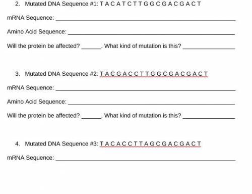 Quick I need help this mutation reinforcement assignment about DNA, RNA, and amino acid.